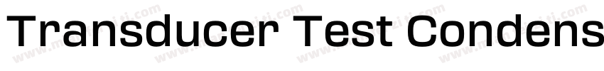 Transducer Test Condensed Medium字体转换
